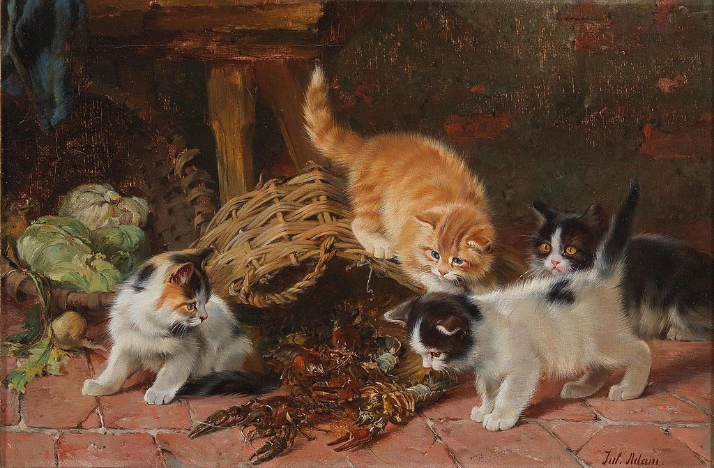 Gattini e gamberi